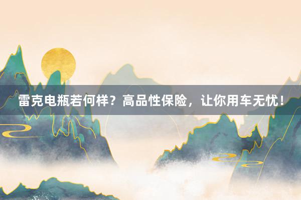 雷克电瓶若何样？高品性保险，让你用车无忧！